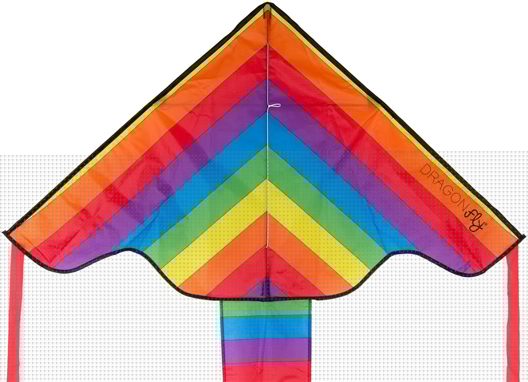 DRAGONfly Vlieger Regenboog