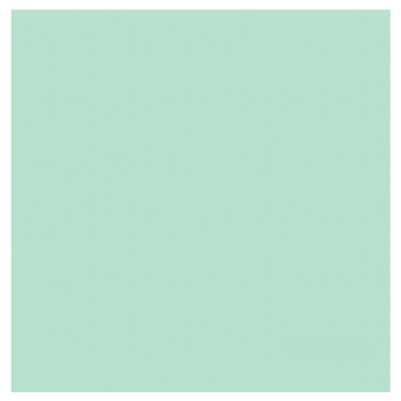 DDDDD Keukenhanddoek Logo Pastel Green 65x65 cm