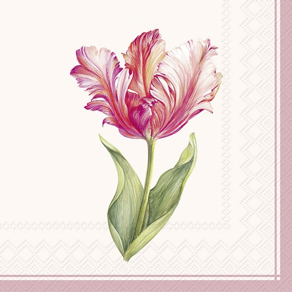 Ihr Cocktailservetten 25x25 cm 20 stuks  Driselle - Cream