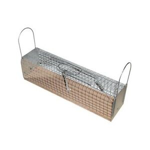 Rattenval Houten Sokkel 2 Ingangen 38x10x10 cm