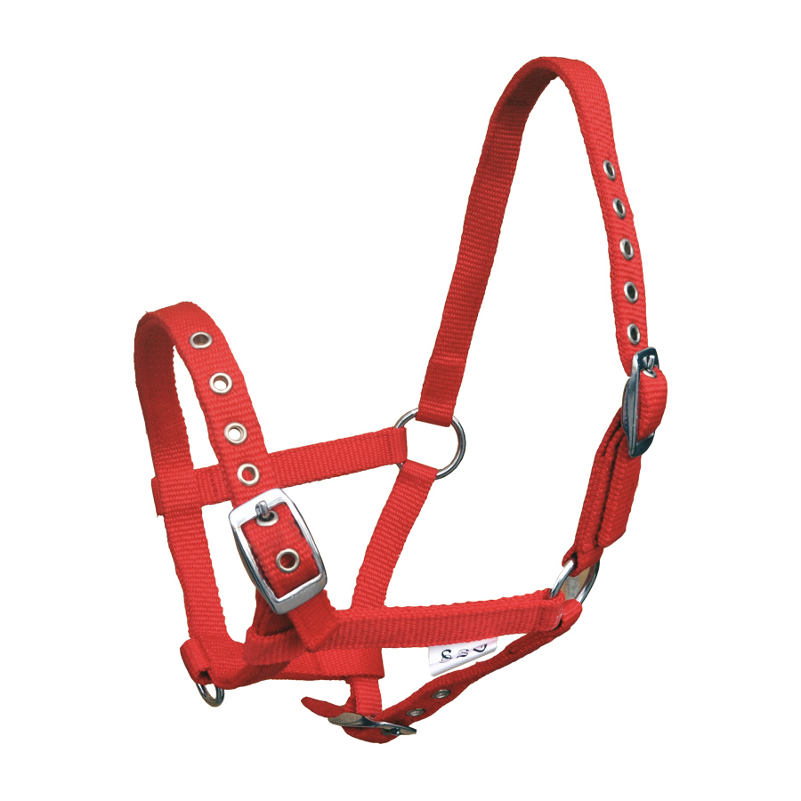 Halster Nylon Standaard met Gaatjesgesp Shetland - Rood