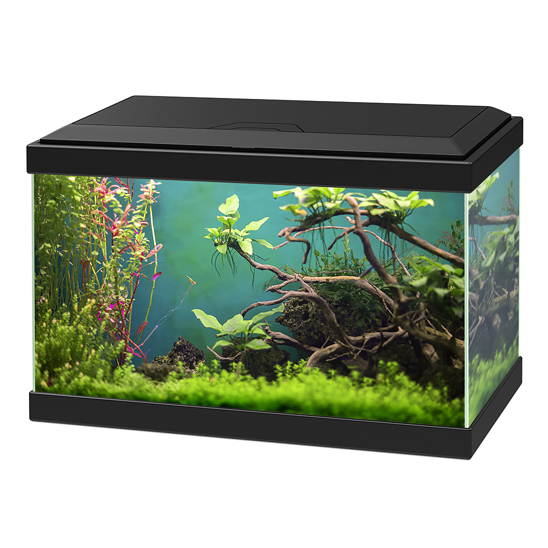 Ciano Aquarium Aqua 20 Classic Zwart 40x20x26 cm