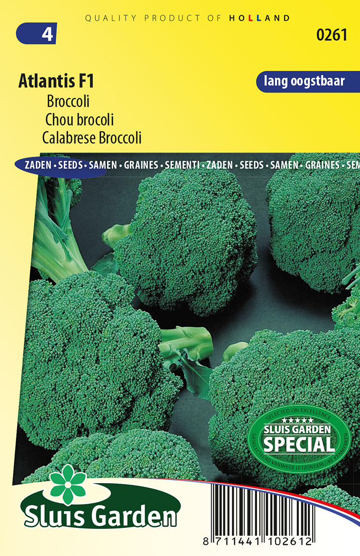 Broccoli Atlantis