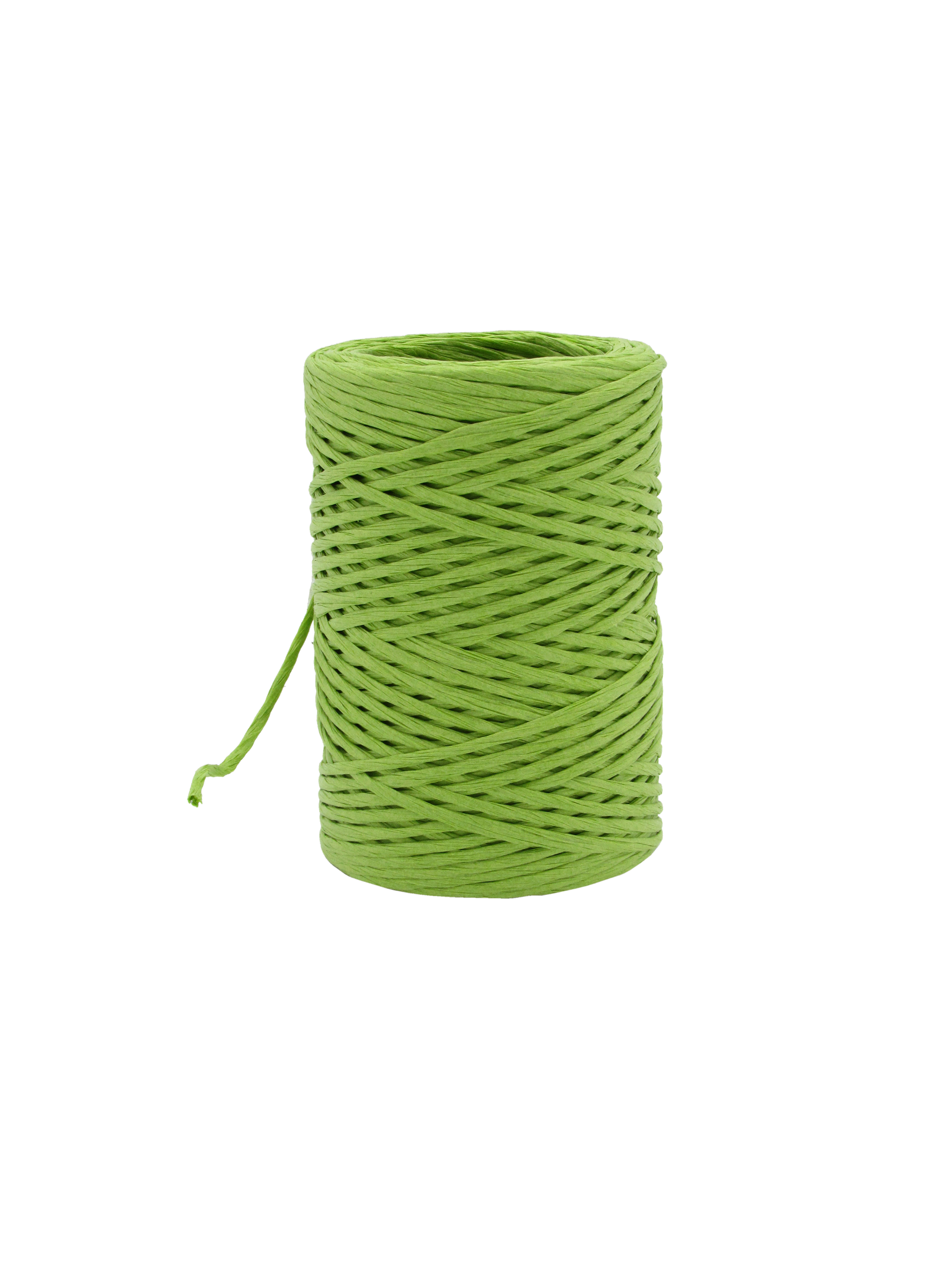 Papierkoord Wired 2mm x 50m - Lentegroen