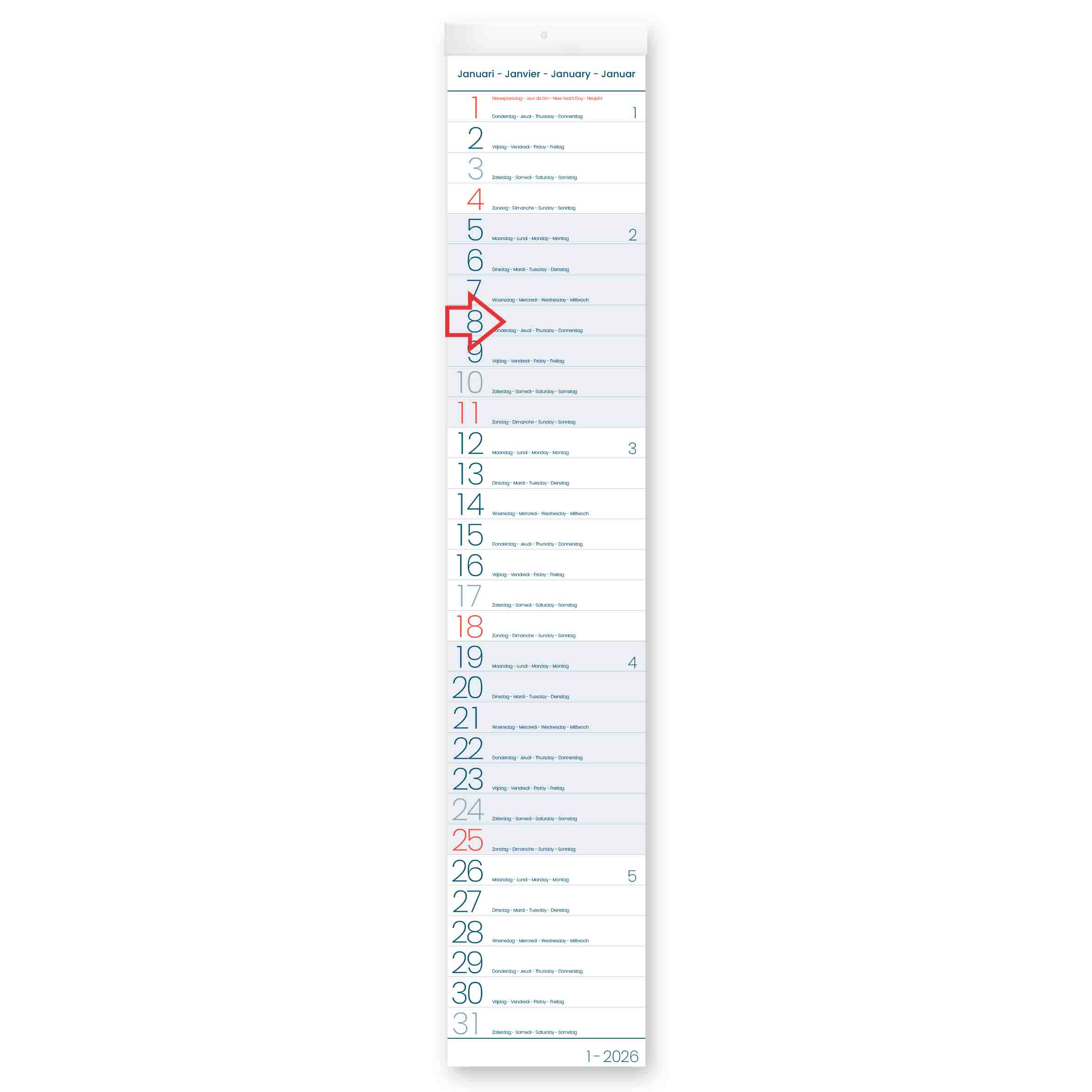 Maandkalender 2026 Wallplanner 11x56.5 cm