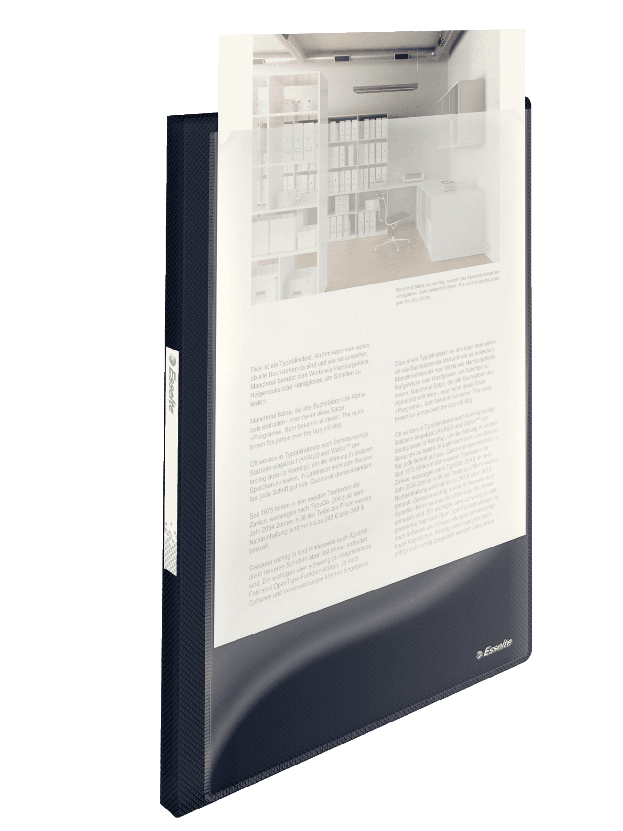 Esselte Showalbum Vivida Panorama Transp Zwart - 17x310x233 mm - 40 Hoezen