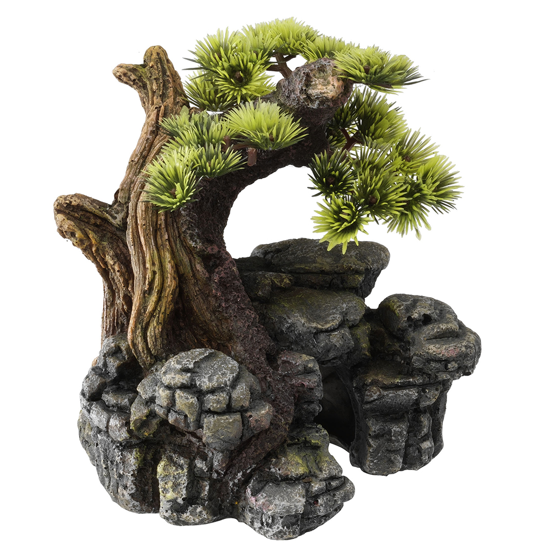 Aqua Della Bonsai SM 16.5x16.5x18 cm Aqua D Ella