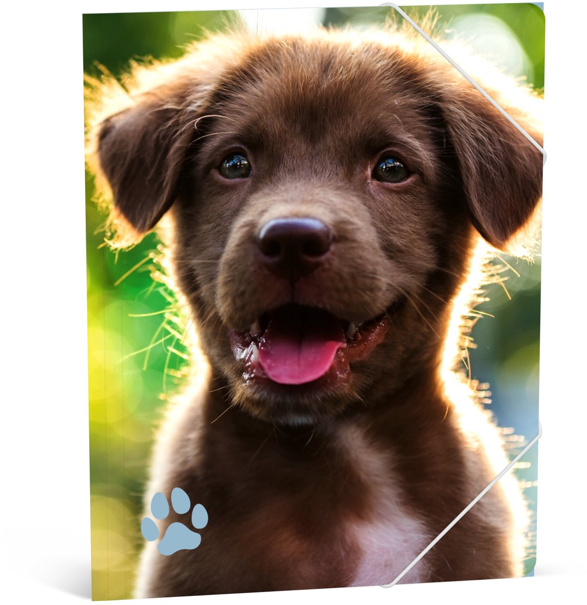 My Favourite Friends Elastomap A4 Dog