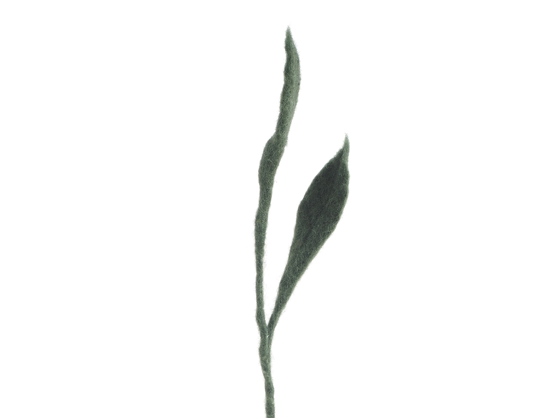 Aveva Bloemensteel Endless Flower