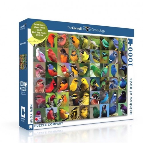 New York Puzzle Company Rainbow Of Birds - 1000st