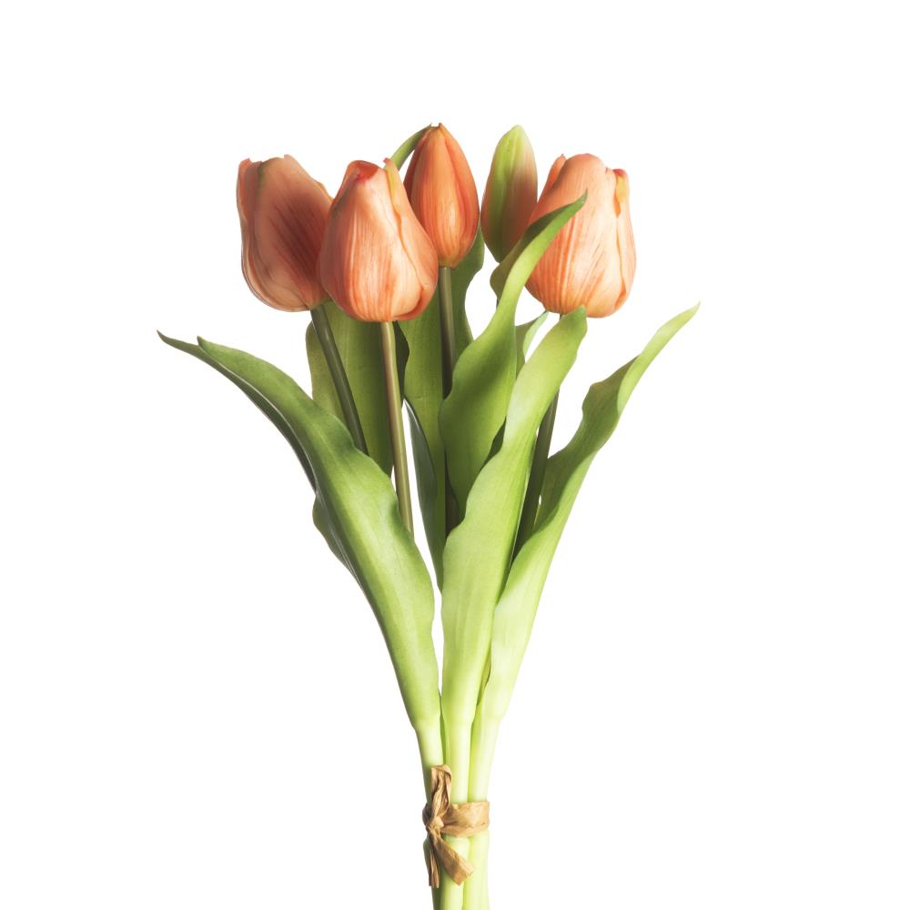 Bundel Tulpen Perzik 31cm 5 stuks