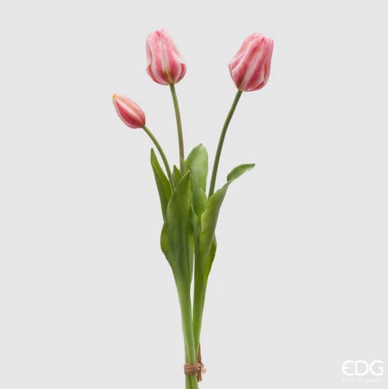EDG Bundel Tulpen Roze/Creme 48cm