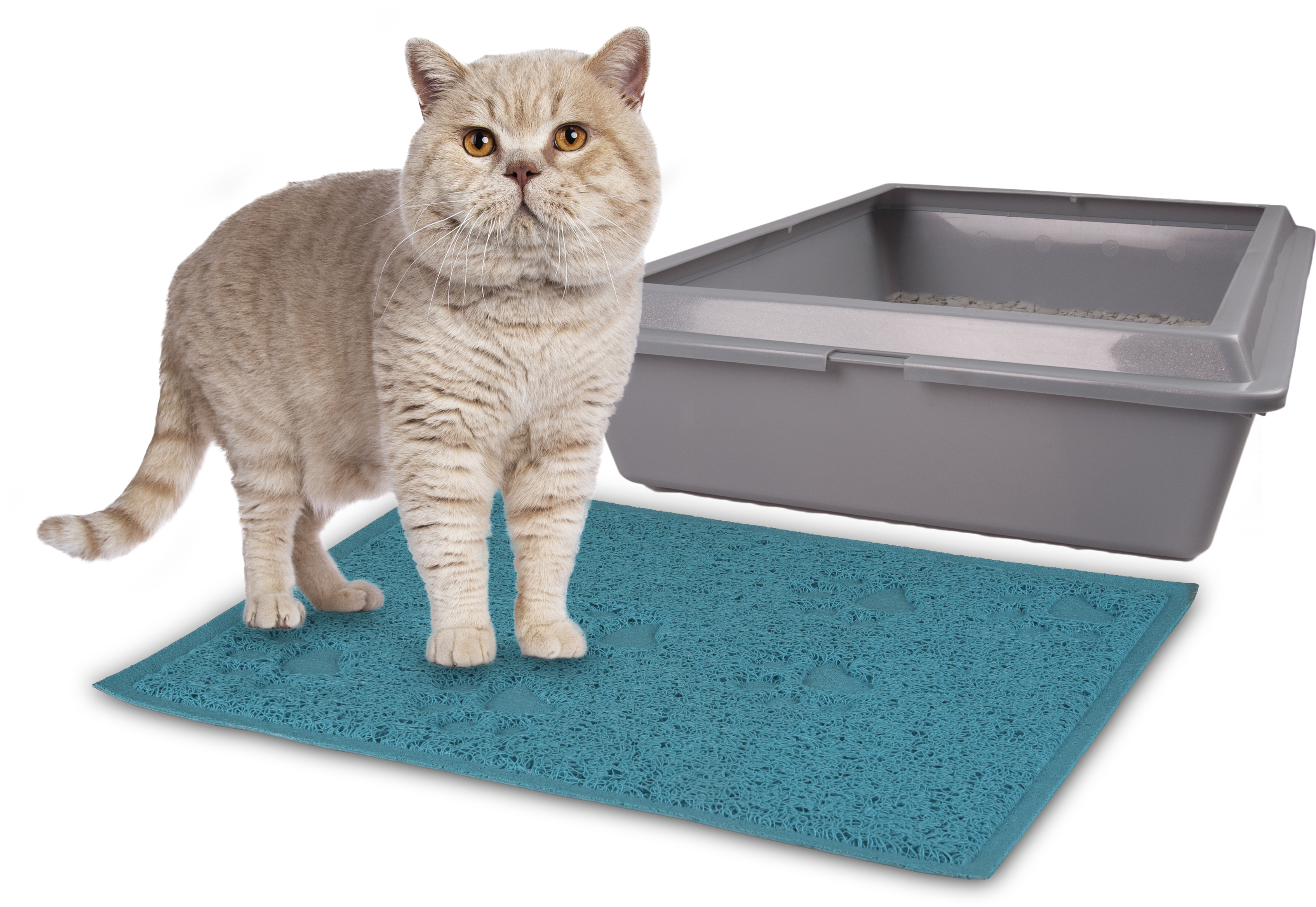 Flamingo Kattenbakmat Rechthoekig 40x30 Groen / Blauw