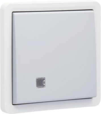 Niko New Hydro Tweepolige Schakelaar 10A - 250V met Lensschroefklemmen