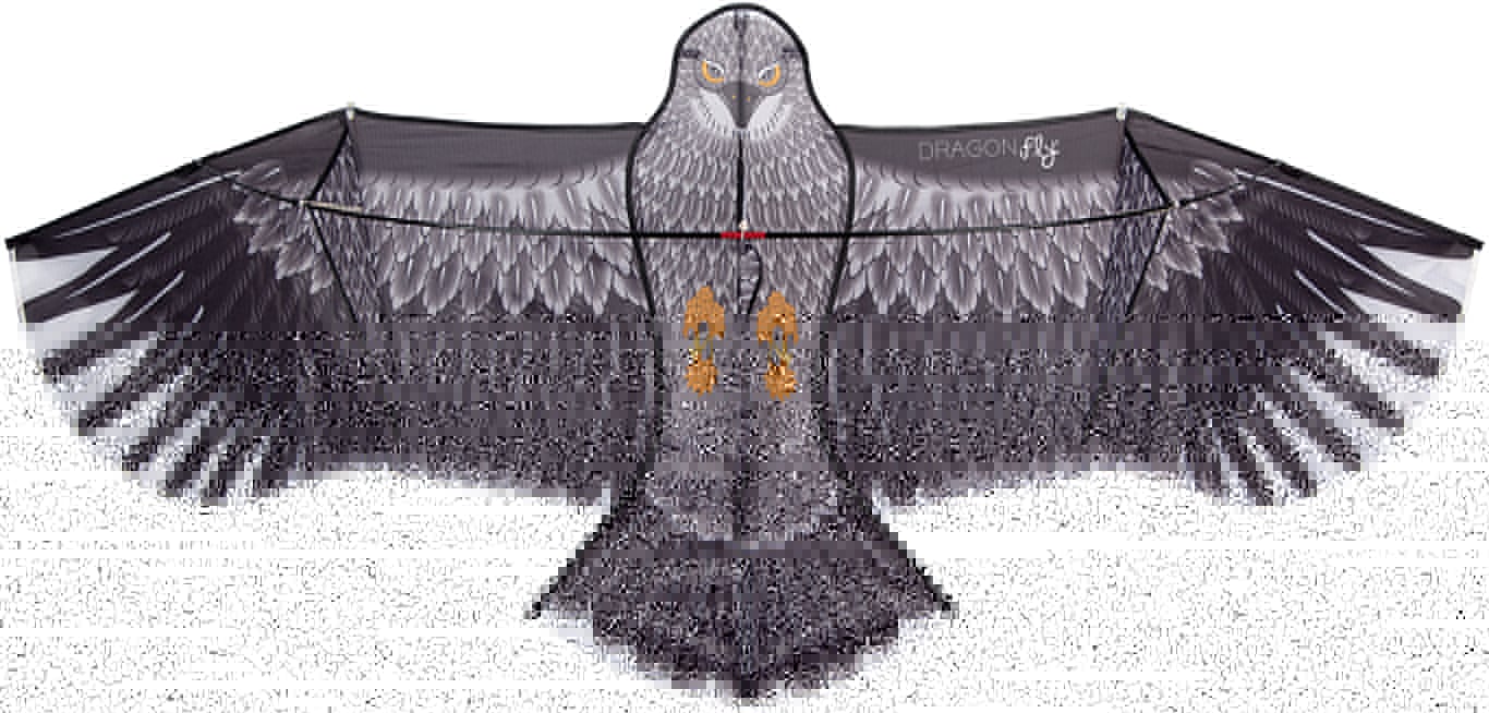 DRAGONfly Vlieger Eagle Vogel Zwart-Antraciet