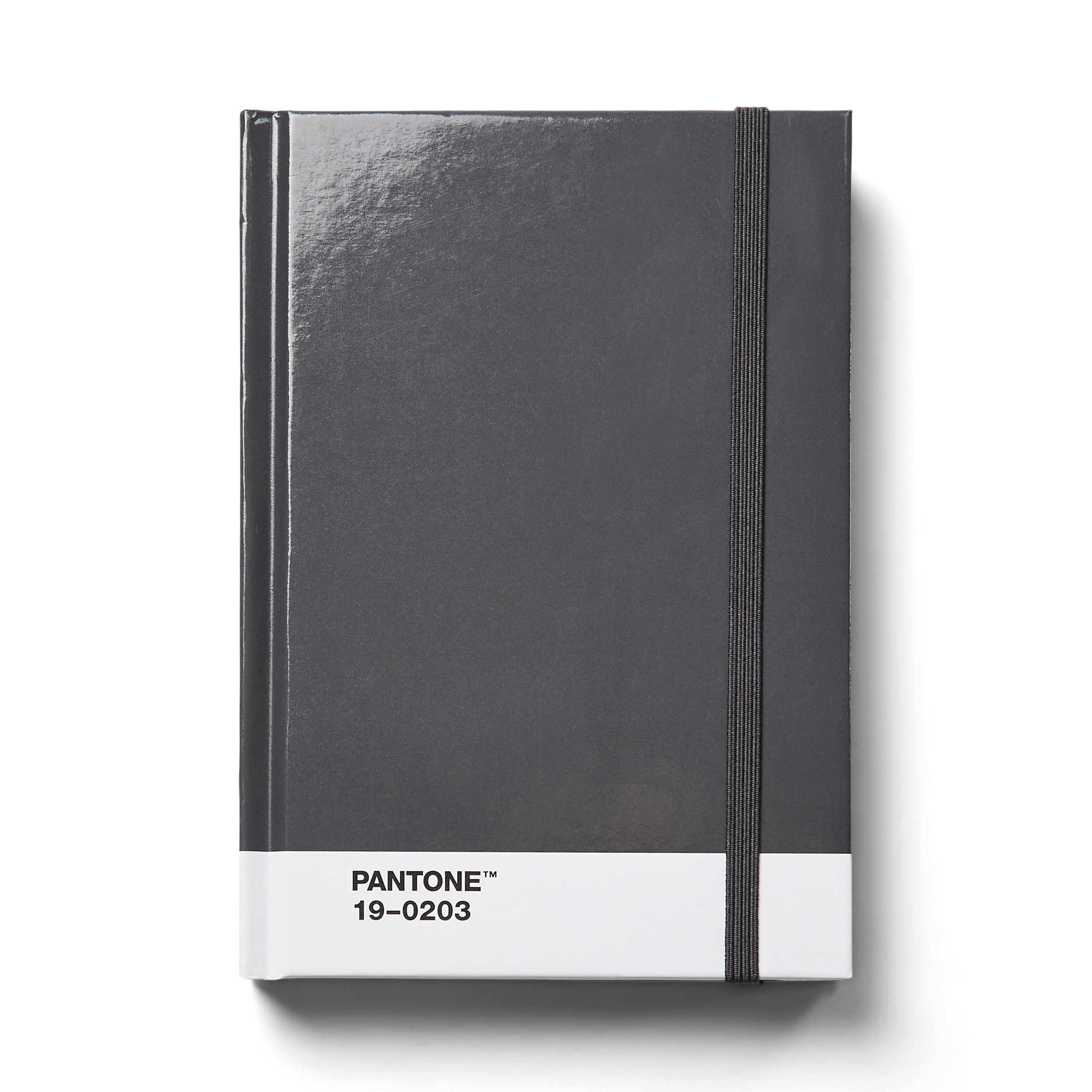 Pantone Notebook S Grey - 17x12 cm - 190 blz - Dotted | 32057241