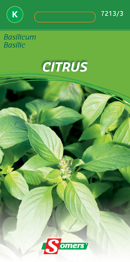 Somers Basilicum Citrus