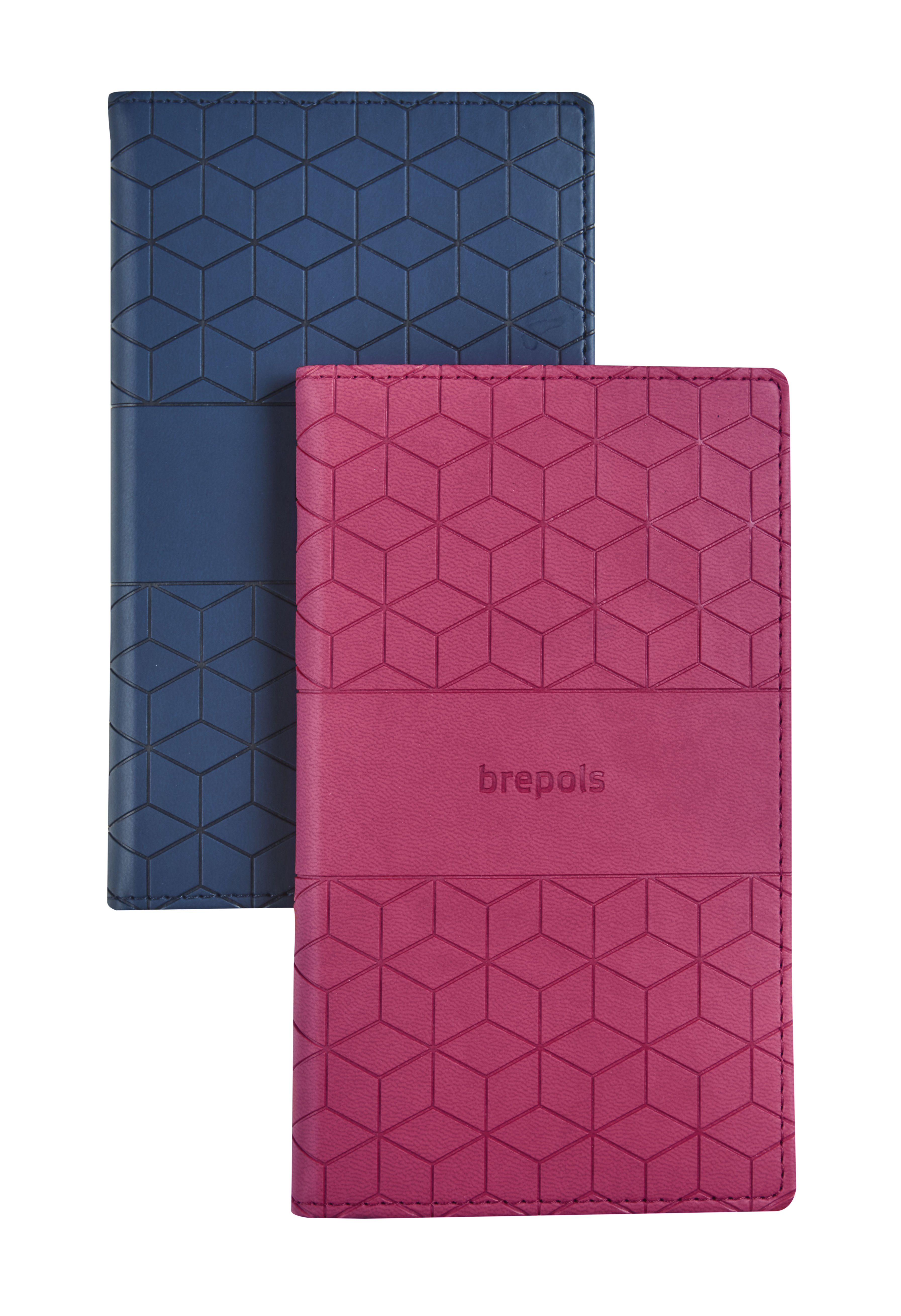 Brepols 16M Agenda 2026-27 Interplan Cube 1week/2pag Spiraal assorti 9x16 cm - per stuk