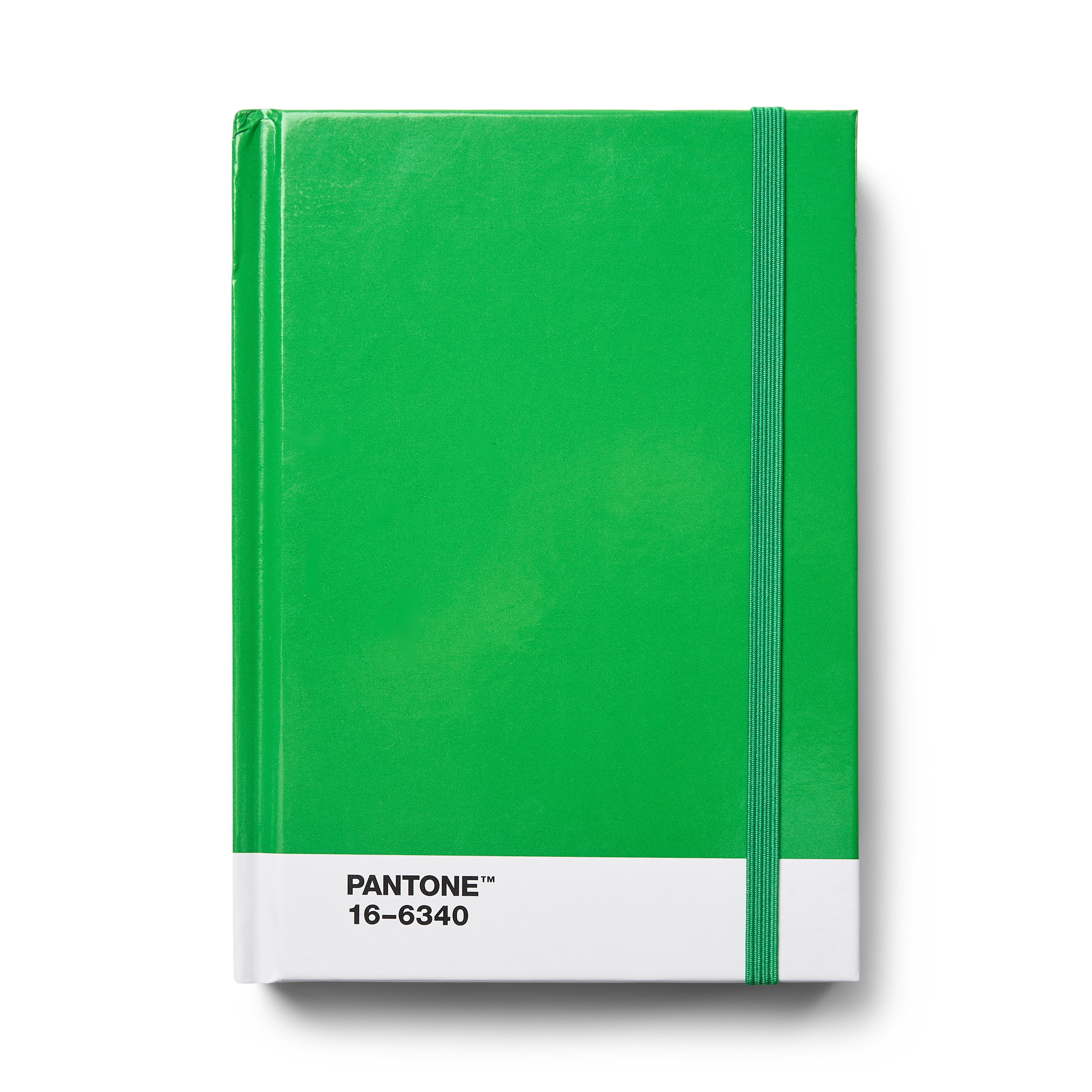 Pantone Notebook S Green - 17x12 cm - 190 blz - Dotted