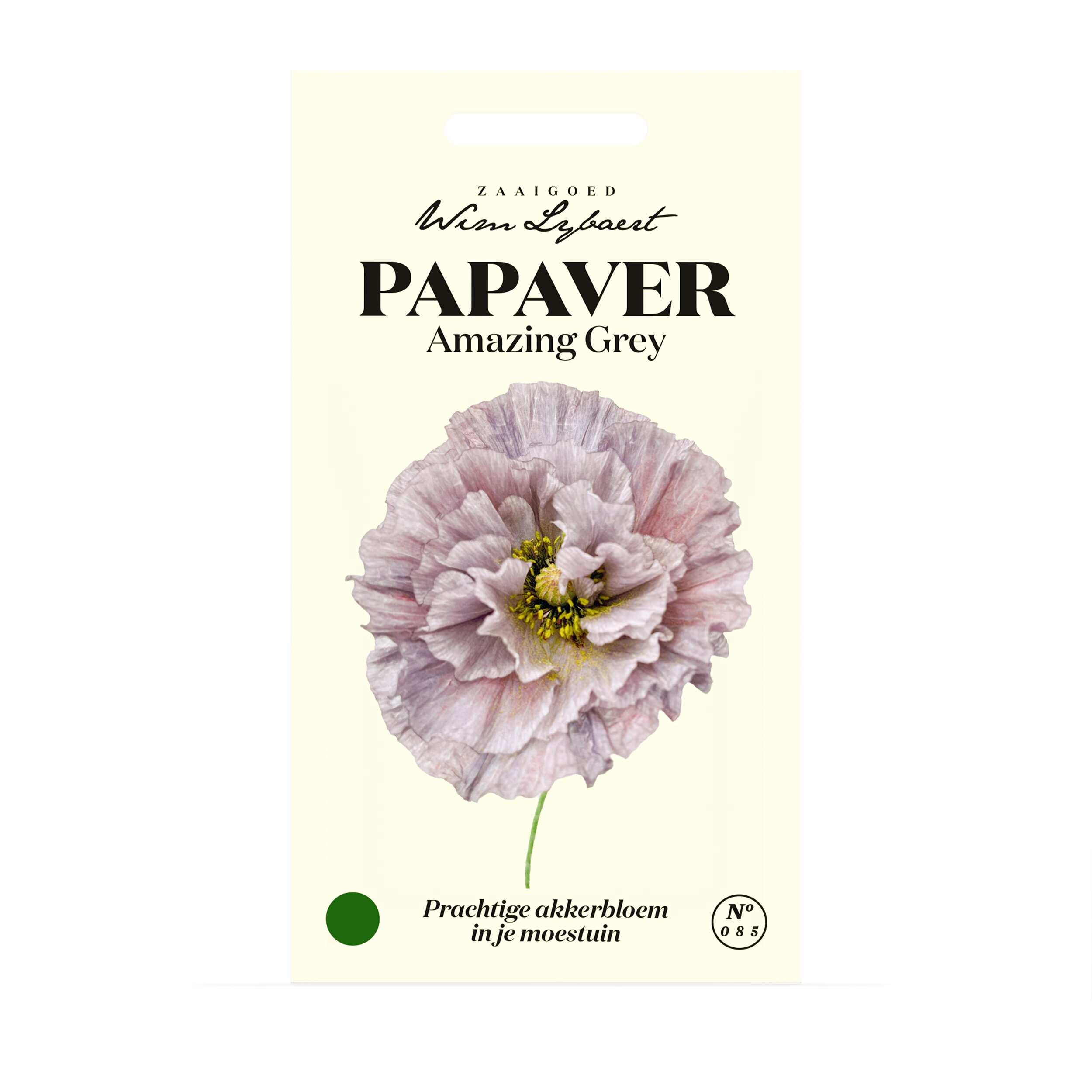 Zaaigoed Papaver Amazing Grey Wim Lybaert
