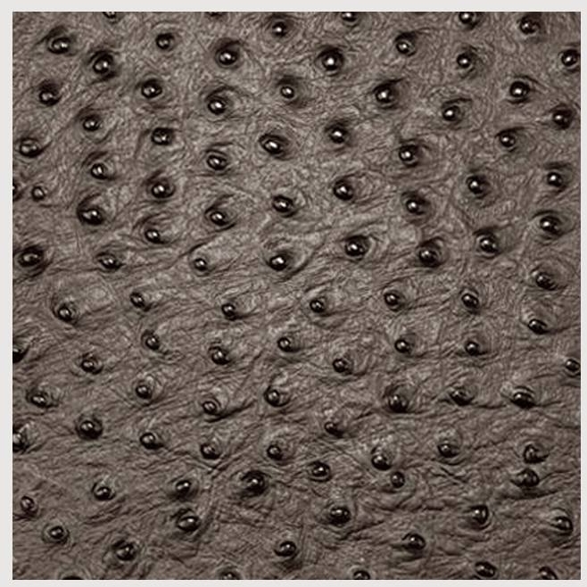 Daff Leatherixx Onderzetter Leer Emu 10x10cm - Dark Chocolate