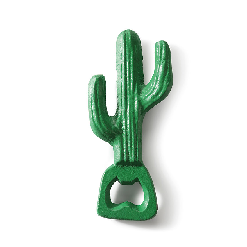 Donkey Tropical Garden Flesopener Caribbean Cactus