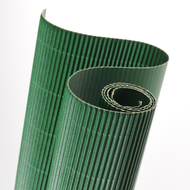 Canson Golfkarton Flesgroen 50x70cm - 300g