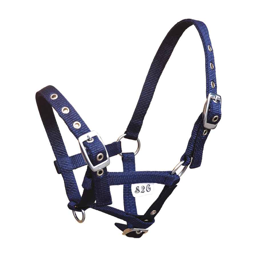 Halster Nylon Standaard met Gaatjesgesp Veulen - Donkerblauw