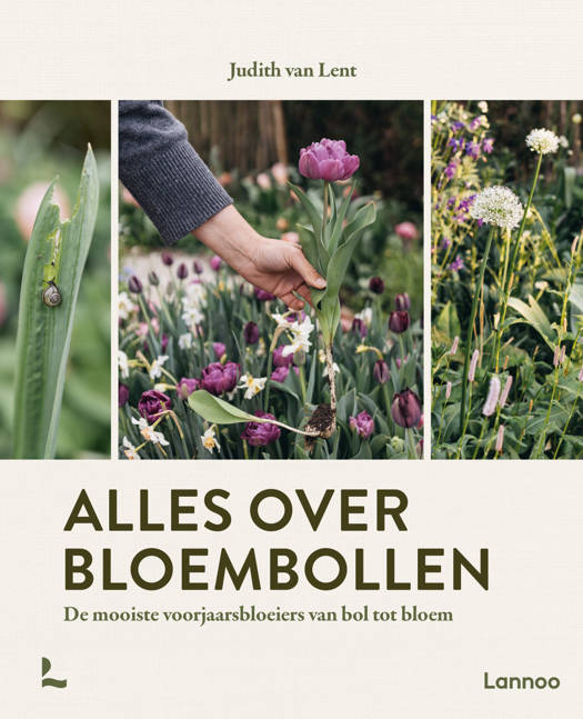 Alles over Bloembollen - Judith van Lent