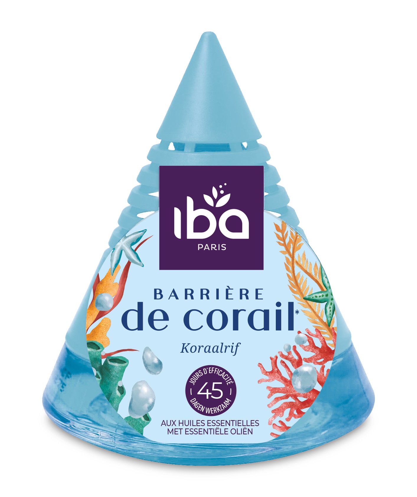 Iba Ontgeurder Piramide Koraalrif