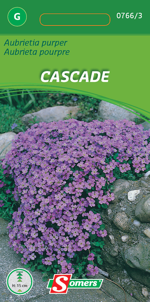 Samers Aubrietia Purper Cascade