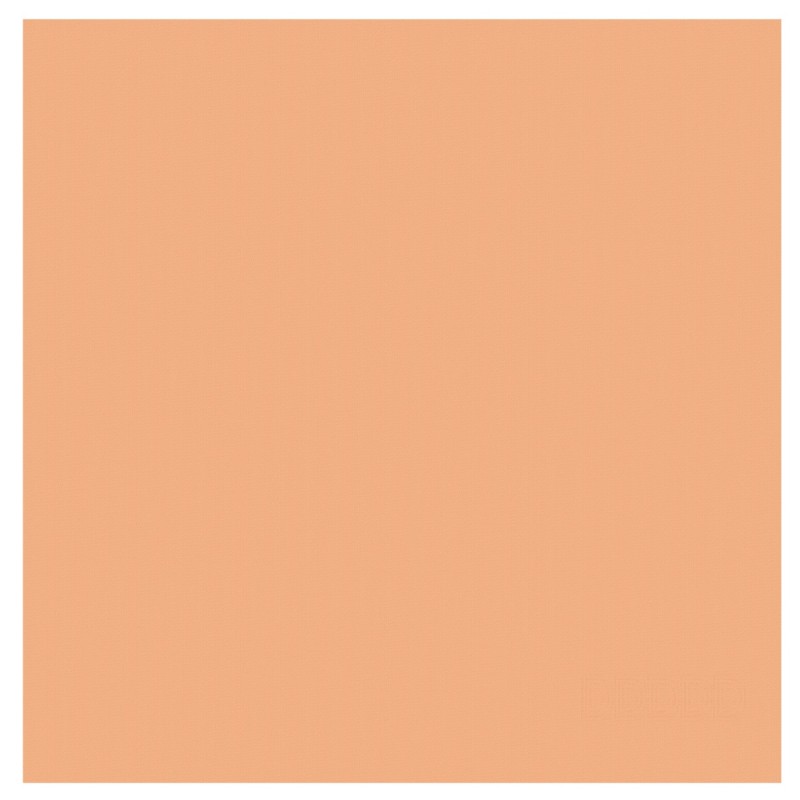 DDDDD Keukenhanddoek Logo Pastel Peach 65x65 cm