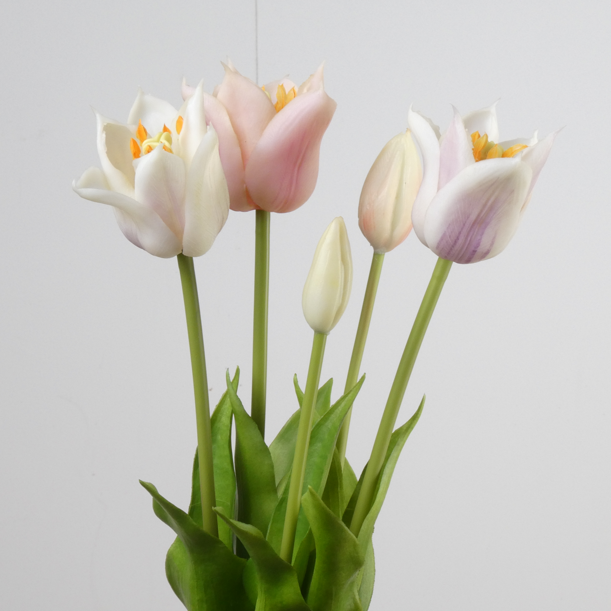 Bundel Tulpen Mix Lila 45cm 5 stuks