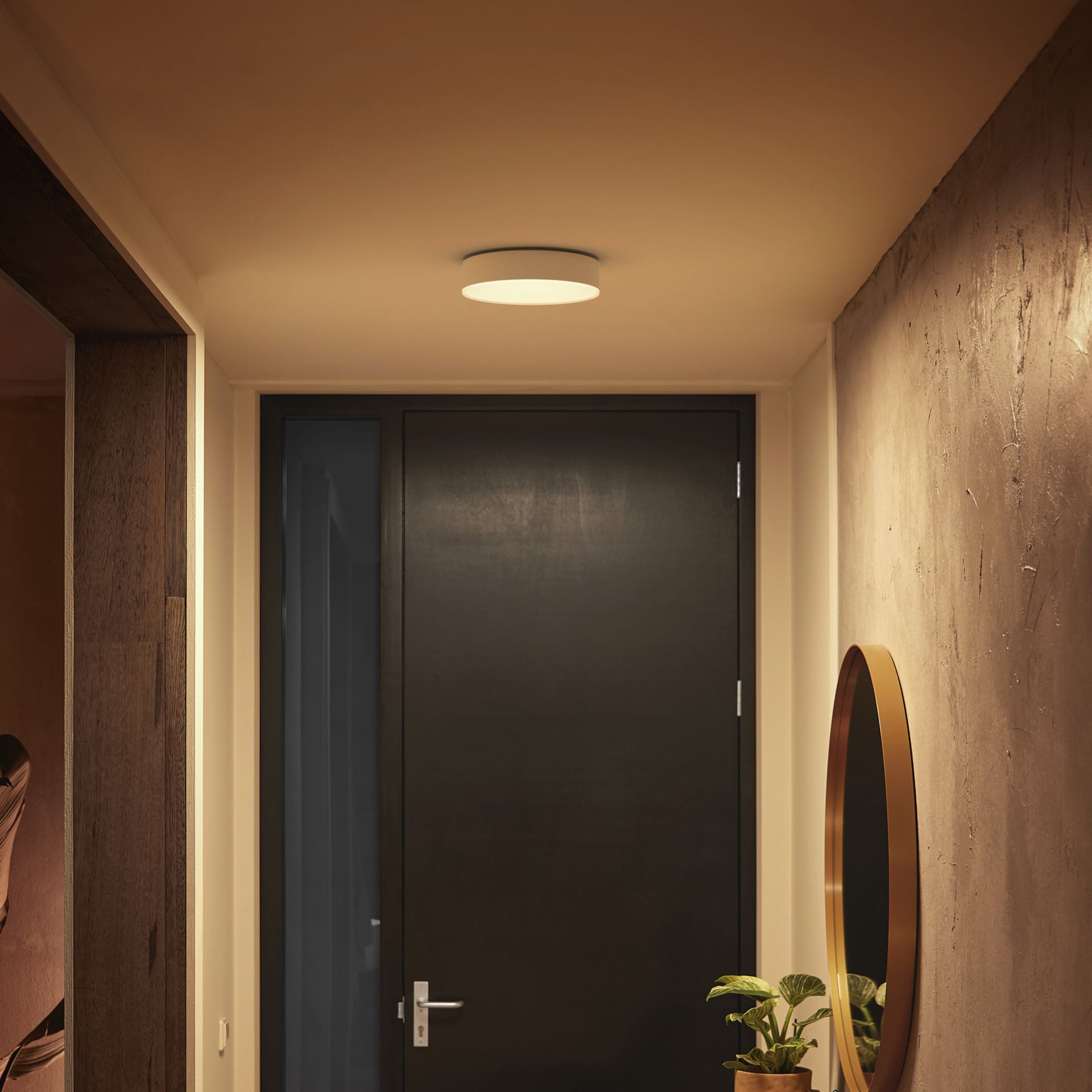 Philips Hue Plafondlamp Enrave Wit 26 cm White Ambiance met Switch