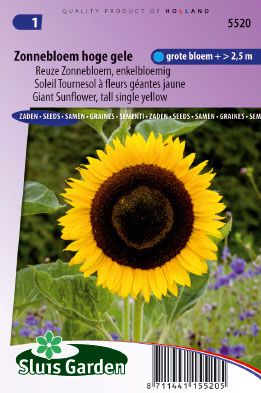 Zonnebloem Hoge gele 3gram