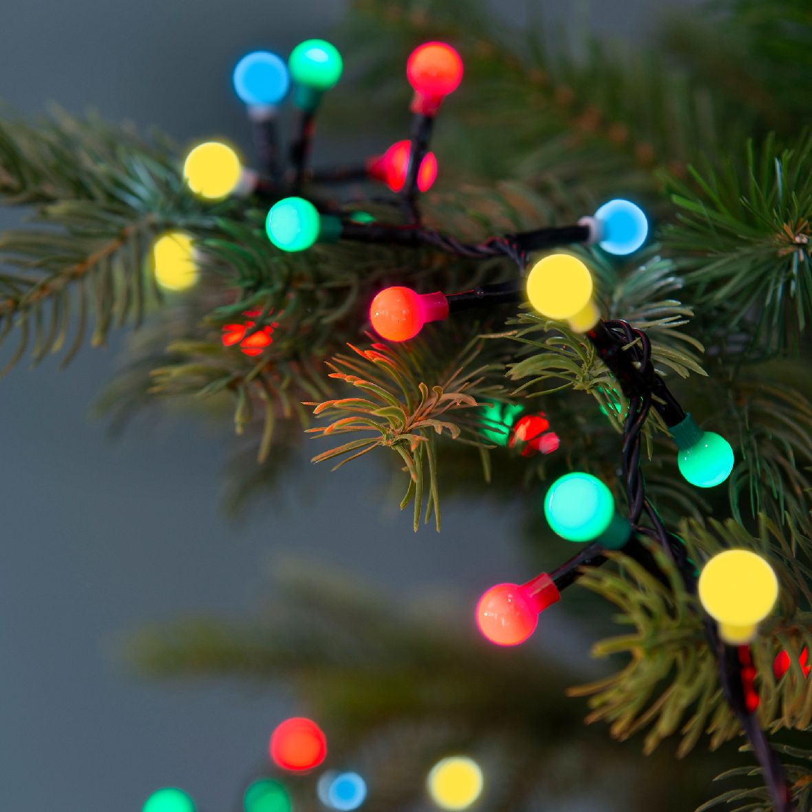 Kerstverlichting LED Cherry 9m - 120 leds - Black/Multicolor - In/Outdoor