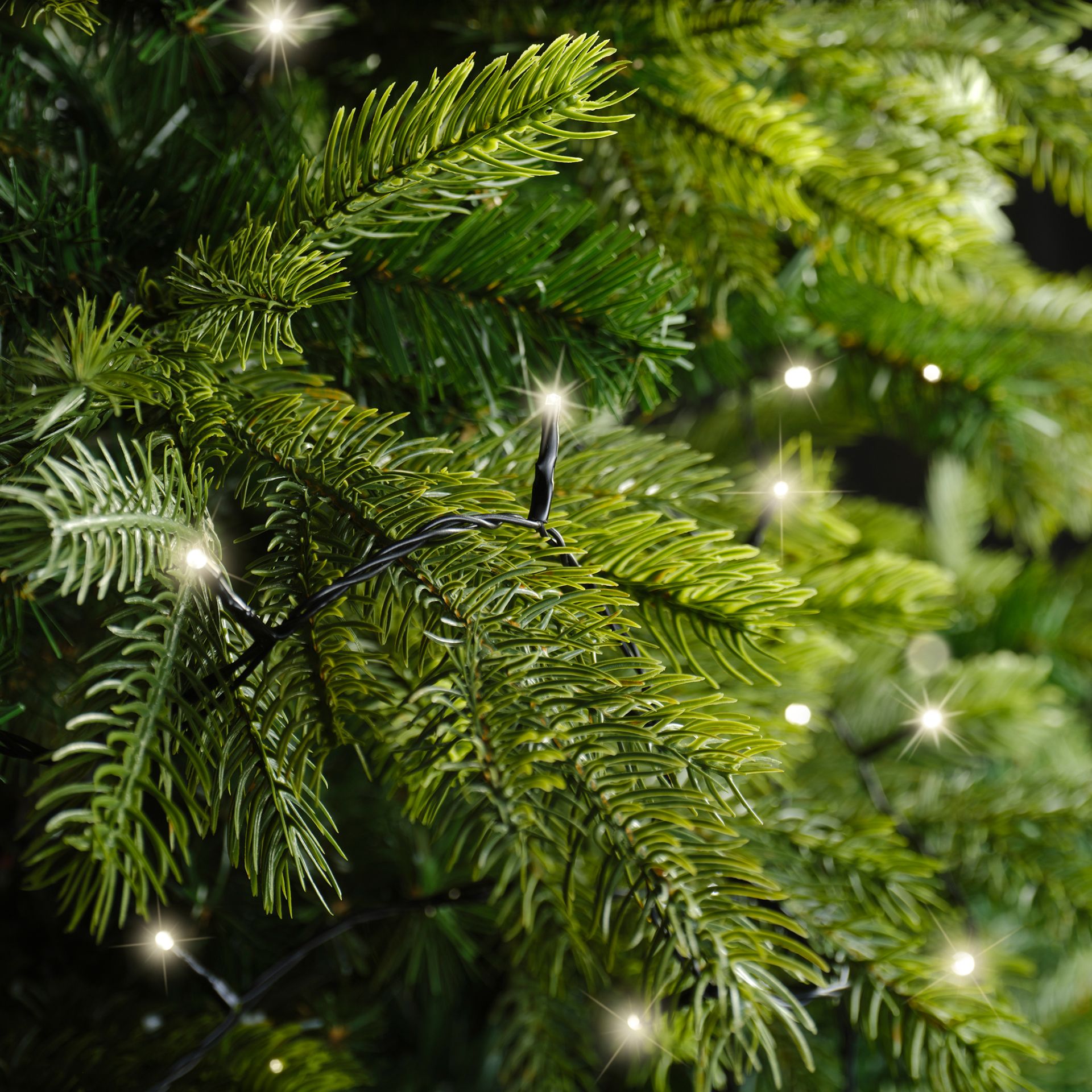 Kerstverlichting LED Basic Twinkle 6m - 80 leds - Black/Warm White - In/Outdoor